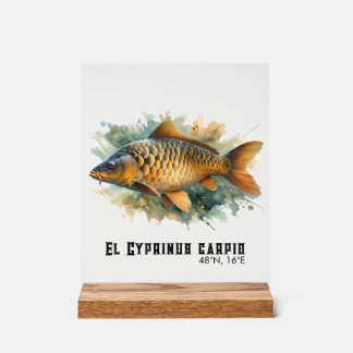 Panneau En Acrylique Série Aquarelle : Carpe