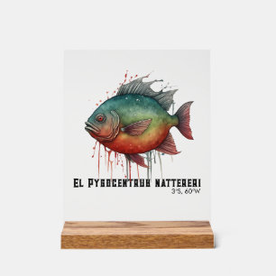Panneau En Acrylique Série Aquarelle : Piranha