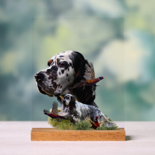 Panneau En Acrylique Setter anglais