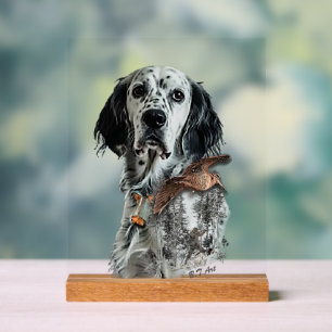 Panneau En Acrylique Setter anglais