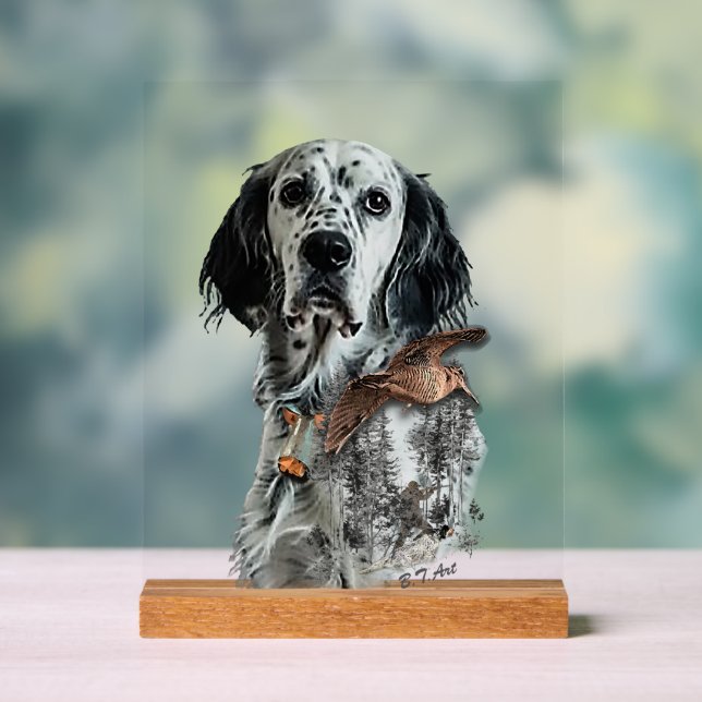 Panneau En Acrylique Setter anglais  (Neutre)
