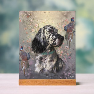 Panneau En Acrylique Setter anglais