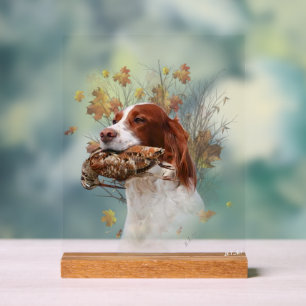 Panneau En Acrylique Setter anglais