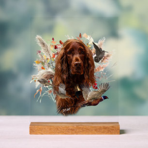 Panneau En Acrylique Setter irlandais