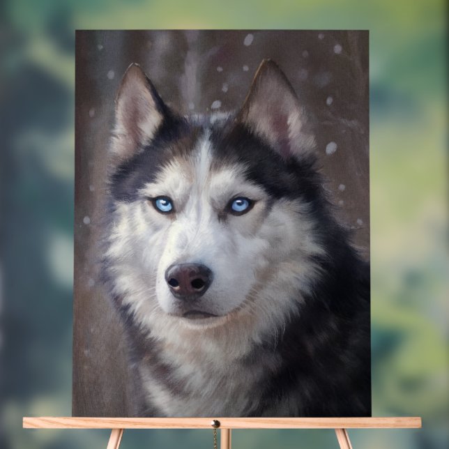 Panneau En Acrylique Sibérien Husky (Neutre)