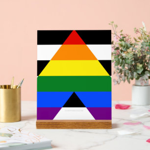 Panneau En Acrylique SlipperyJoe's Straight Ally Drapeau gay cadeaux LG