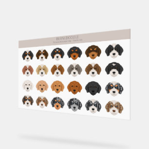 Panneau En Acrylique SYMBOLE ACrylique Bernedoodle