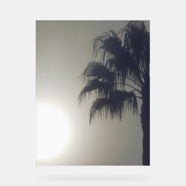 Panneau En Acrylique SYMBOLE ACrylique STYLE DE CONCEPTION PALMIER (Recto)