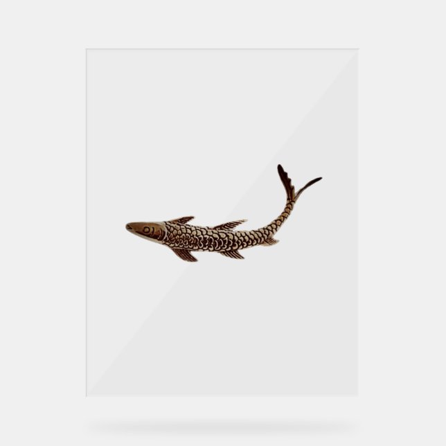 Panneau En Acrylique SYMBOLE ACrylique STYLE FISH DESIGN (Recto)