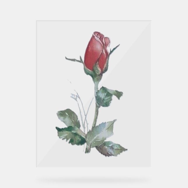 Panneau En Acrylique SYMBOLE ACrylique STYLE ROSE BUD DESIGN (Recto)