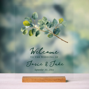 Panneau En Acrylique Symbole vert d'accueil de la branche d'Eucalyptus