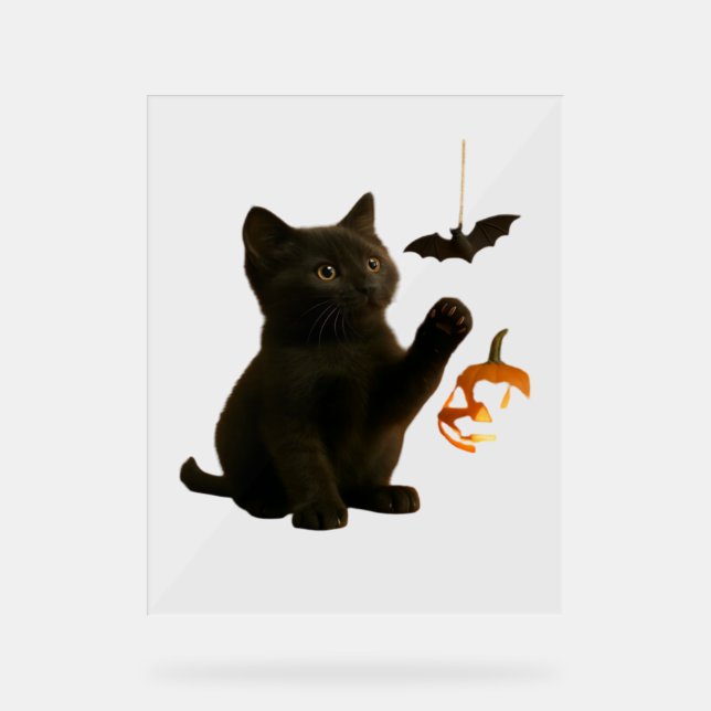 Panneau En Acrylique T-Shirt classique en forme de charrette et de lant (Recto)