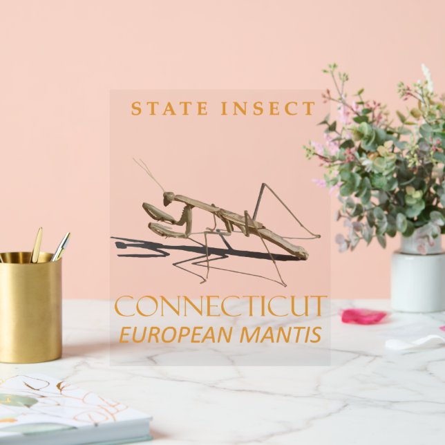 Panneau En Acrylique Territoire du Connecticut Insect Mantis religiosa (Mariage)