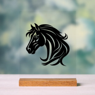 Panneau En Acrylique Tête de magnifique cheval noir