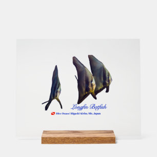 Panneau En Acrylique Thee Cute Longfin Batfish Beverage Coaster