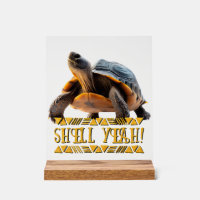 Tortue 001 Coquille Ouais!