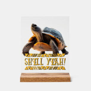 Panneau En Acrylique Tortue 001 Coquille Ouais!