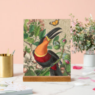Panneau En Acrylique Toucan Jungle Tropical Bird Belle antique