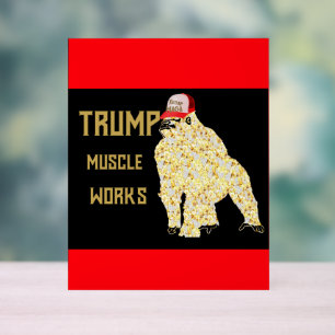 PANNEAU EN ACRYLIQUE TRUMP