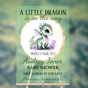 Panneau En Acrylique Un Petit Dragon Se Trouve Sur Le Chemin Du Baby sh