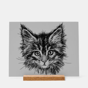 Panneau En Acrylique Visage de Kitten noir et blanc sur gris