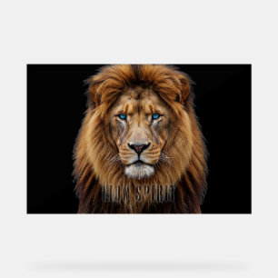Panneau En Acrylique Visage de lion majestueux aux yeux bleus Faune A