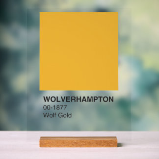 Panneau En Acrylique Wolverhampton Wolf Gold - Arrière - plan clair