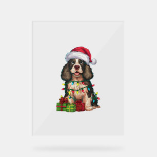 Panneau En Acrylique Xmas Lighting Santa Hat