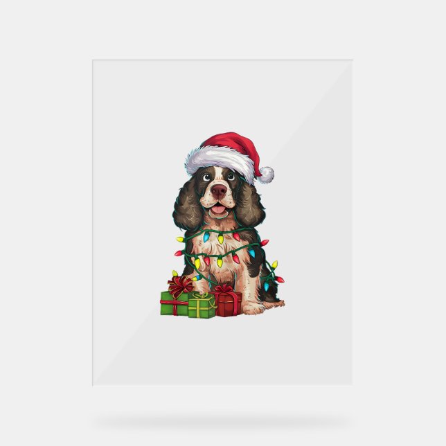 Panneau En Acrylique Xmas Lighting Santa Hat (Recto)