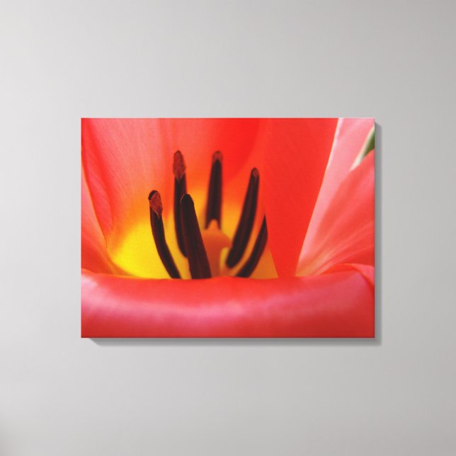 Panneau floral Impression d'art sur toile Photogra (Recto)