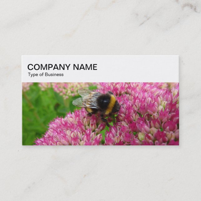 Panneau supérieur - Bumble Bee sur Carte de visite (Devant)