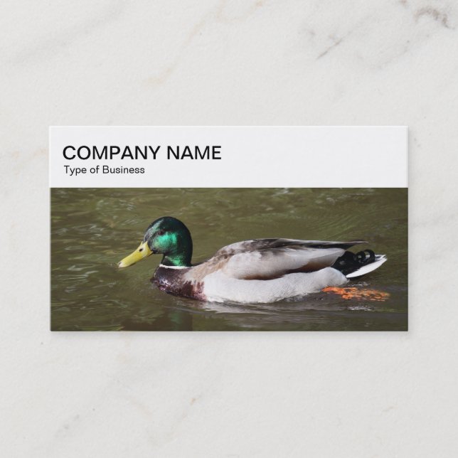 Panneau supérieur - Carte de visite de canard de M (Devant)