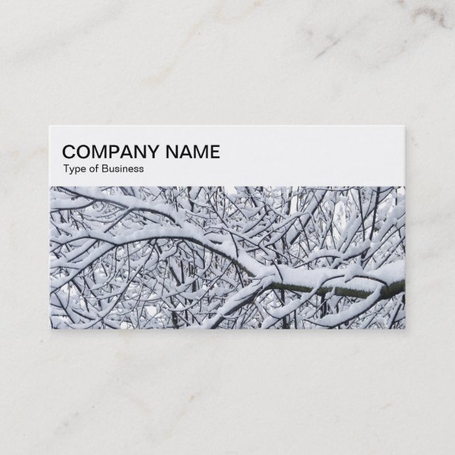 Panneau supérieur - Carte de visite des branches d (Devant)