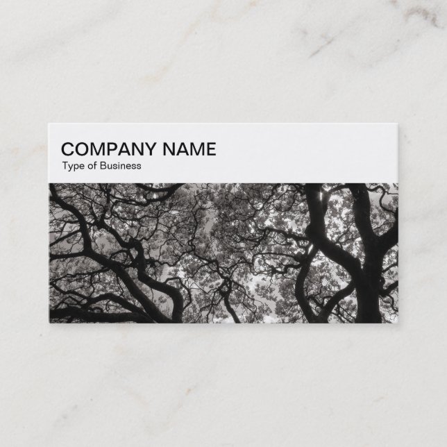 Panneau supérieur - Carte de visite Magnolia Trees (Devant)