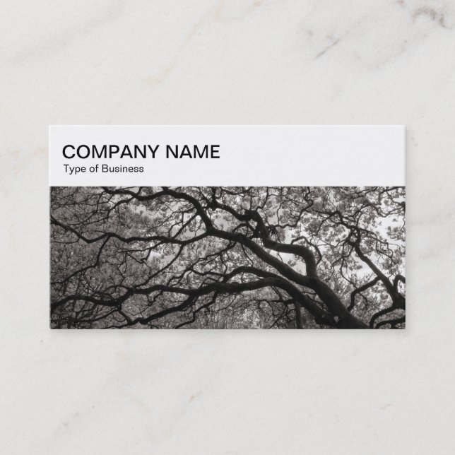 Panneau supérieur - Carte de visite Magnolia Trees (Devant)