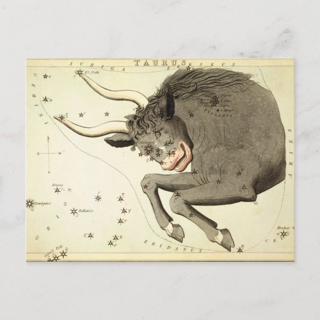 Panneau Zodiac : Cartes postales Taurus (Devant)