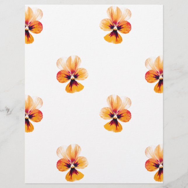 panneaux orange (Devant)