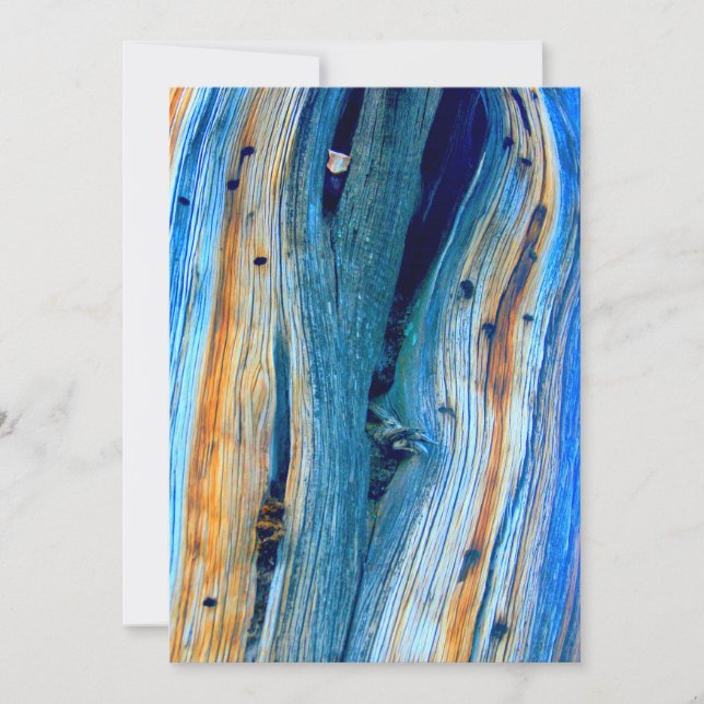 Panneaux patinés à grange bleue (Devant)