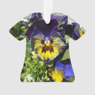 PANSIES !