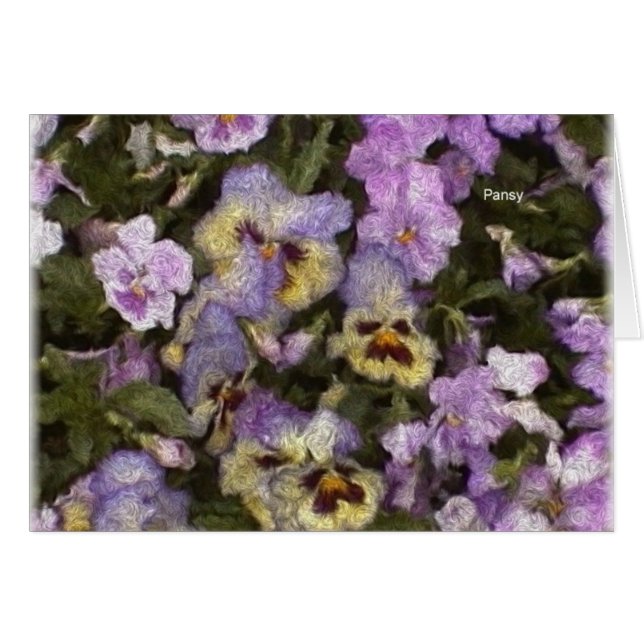 Pansies 01 (Devant horizontal)