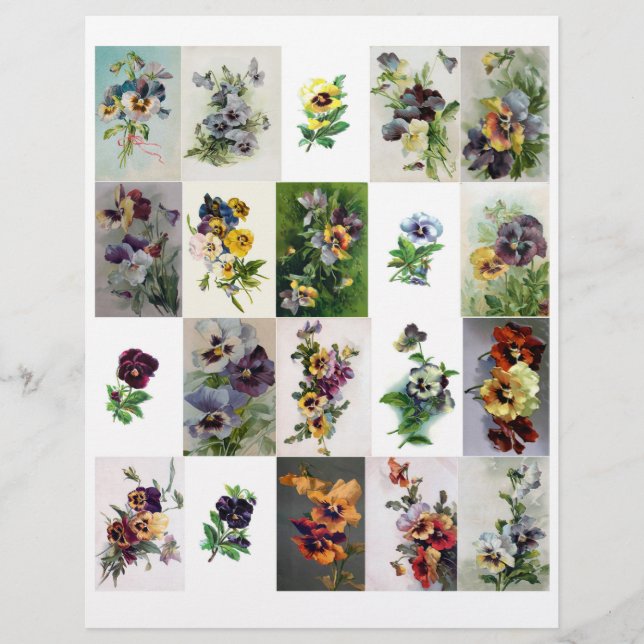 Pansies d'époque victorienne Vintages (pas AI) (Devant)
