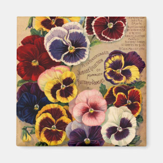 Pansies Magnets de paquets de semences