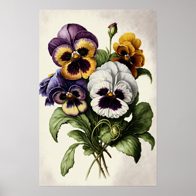Pansies Pansy Flower Art Imprimer Poster (Devant)