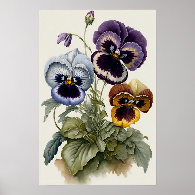Pansies Pansy Flower Art Imprimer Poster (Devant)