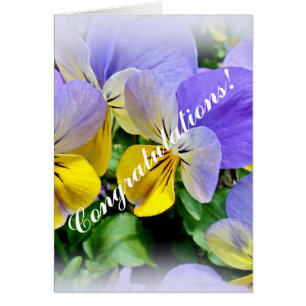 Pansies - violet et jaune - Félicitations