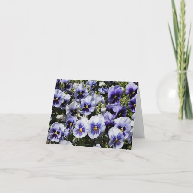 Pansies violettes (Devant)