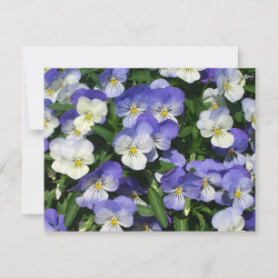 Pansies violettes Jardin Floral