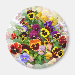 PANSY BEAUTY ~ Magnet