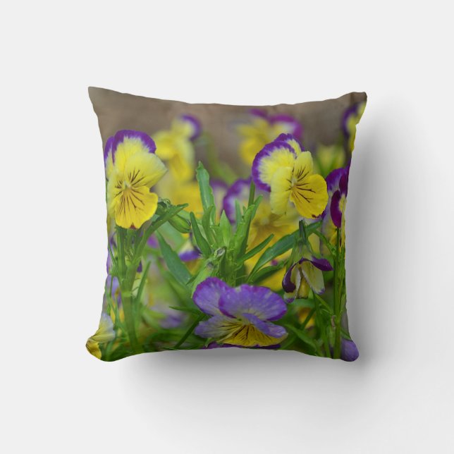 Pansy Coussin (Recto)