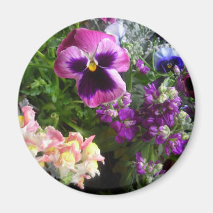 Pansy et amis Magnet
